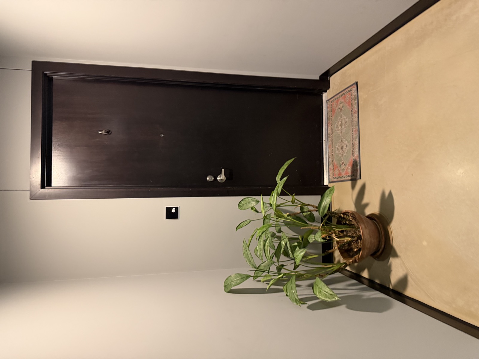 405 - Items